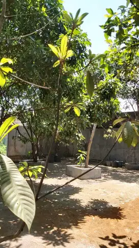 Strategis ! Tanah ada bangunan rumah di Sumberporong Lawang