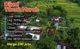 Dijual Tanah Murah Luas 2200m², SHMp Harga 230 juta. Gunungkidul