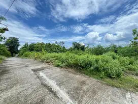 Tanah SIAP AJB SISA 1 Di Sewon Pendowoharjo Bantul