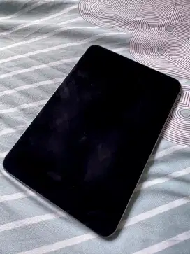 Ipad mini 6 wifi only