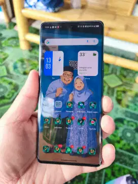 Vivo v30 12+12/512 emerland green