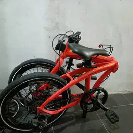 Pasific noris 2.8