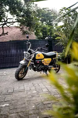 Mini Moto Honda Monkey Yellow 150cc custom 2023 nt MSX DAX 125 Grom