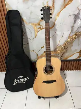 gitar akustik elektrik delta dd100 e