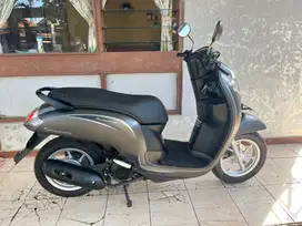 Scoopy Stylish 2019
