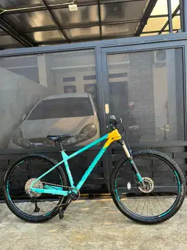 Polygon Xtrada 7 29er L Rare Mulusss