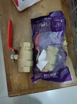Ball valve 1 Ryuichi