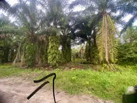 DIJUAL Lahan MURAH Kisaran Asahan Lokasi Strategis