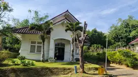 Villa Murah Cantik di Cipanas Udara Sejuk Pemandangan Cantik