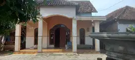 KELURAHAN NGAMPEL, BALONGPANGGANG, GRESIK