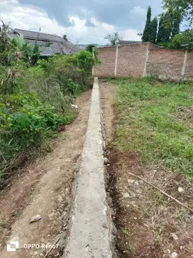 Tanah hajimena, cash Nego