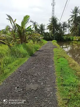 Tanah 2 Are Lokasi Dekat Dengan Pantai Disewakan, di Gianyar