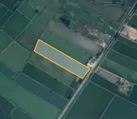 Dijual Tanah Nol Jalan Propinsi Cerme Gresik Cocok Untuk Pergudangan