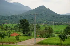 Kavling Tanah Murah Bogor Nuansa Alam Golden View