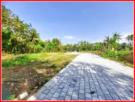 Tanah Strategis 5 Menit ke UNY Wates, Legalitas Terjamin
