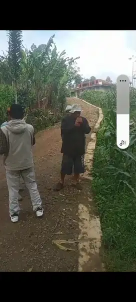 Dijual tanah murah di warjabakti cimaung  161 juta