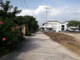 Tanah murah depan Pabrik Rotee kulim kota Pekanbaru