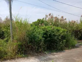 Dijual tanah dibawah harga pasar
