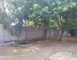 Tanah Tembalang Bulusan Utara Undip