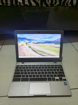 bu chromebook samsung 4