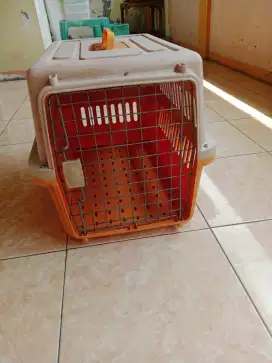 Kennel box uk besar