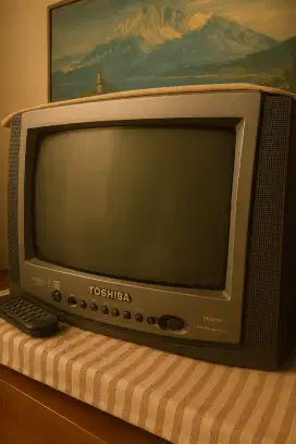 Jual tv 14inc tabung kondisi nyala tapi agak tunggu lama.