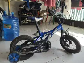 Jual sepeda family