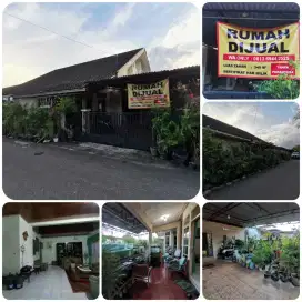 RUMAH DARMAPALA
