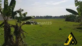 Dijual lahan industri strategis lokasi Juwiring Klaten luas 4875m BU!