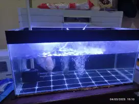 Jual satu set aquarium