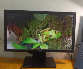 Monitor Dell 19 inch bonus speaker