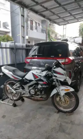Bismillah Ninja R albino 2013