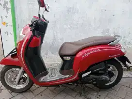 Scoopy Normal terawat