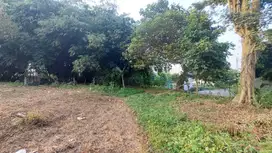 Dekat Sekolah Tinggi Tehnologi Muhammadiyah, Kavling Bisa Cicil 12x