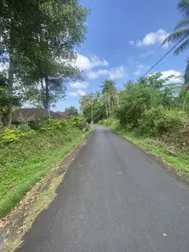 Jual tanah jembrana negara bali