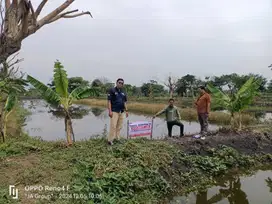 KELURAHAN PUTAT BANGAH, KARANG BINANGUN, LAMONGAN