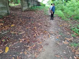 Tanah murah d jalan Naga Sakti stadion utama masuk Jalan Ma'ruf sakti