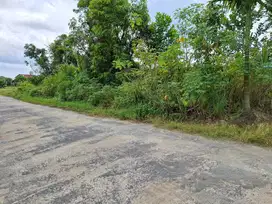 Tanah murah daerah jl Naga Sakti 30x30m surat SHM