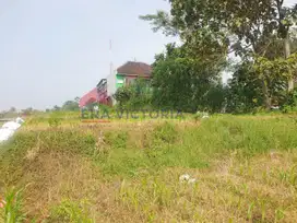 Investasi Tanah Wagir Akses Mudah ke Polsek, SMK Taruna, & Jalan Utama