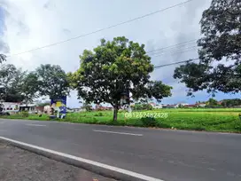 DISEWAKAN TANAH 7445 JEMBER KOTA