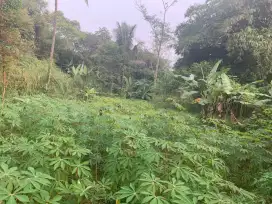 Tanah Di Jual Cepat 700m