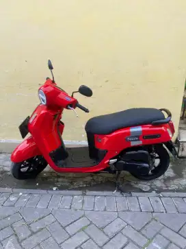 Fazzio merah 2022