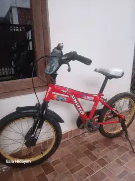 Jual sepeda anak united size 18