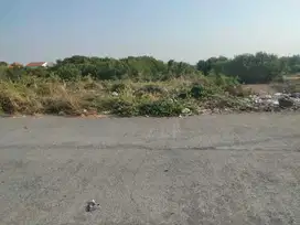 Tanah 0 Jalan Cor Murahh 700 Juta Gunung Anyar Tambak