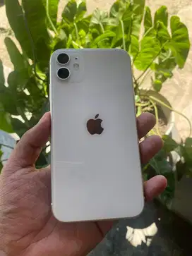 iPhone 11 / 128Gb