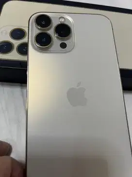iPhone 13 Pro Max 256gb iBox Resmi