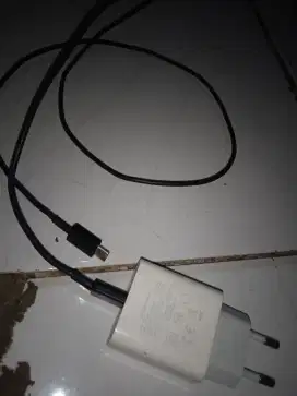 Charger ugreen tipe C