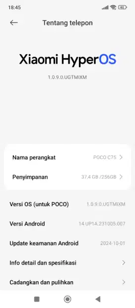 Poco c75 8/256 edisi salah beli