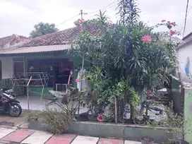 Dijual Cepat: Rumah Satu Lantai Pasar Baru, Tangerang