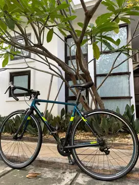 polygon strattos 4 size L
